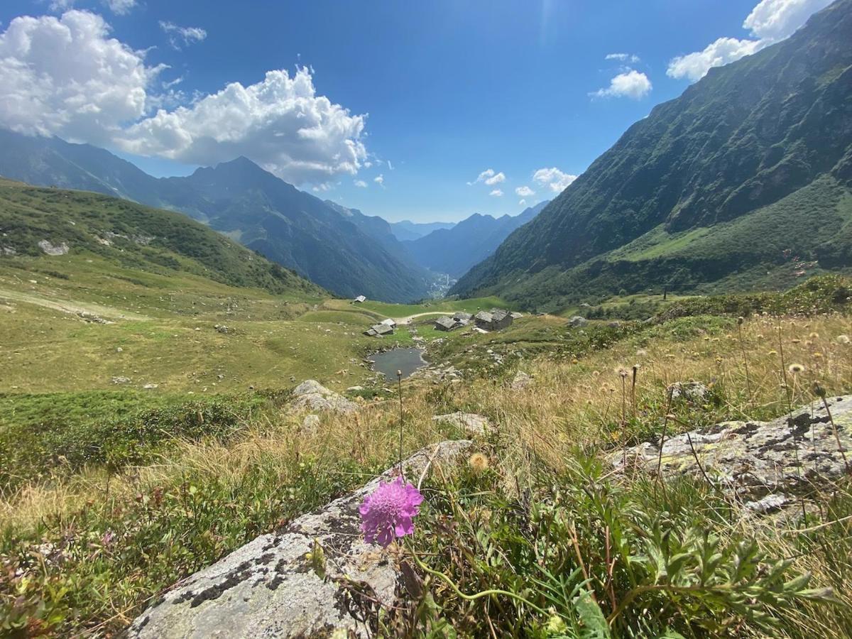 Mountain Cabin Valsesia Appartement Stella ヴァラッロ エクステリア 写真